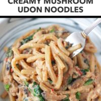 Fork in a plate with creamy mushroom udon noodles. Text overlay "High Protein Silken Tofu Miso Sauce!", "Creamy Mushroom Udon Noodles" and "That Spicy Chick".