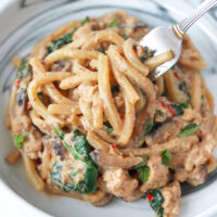 Fork in a plate with creamy mushroom udon noodles with ground chicken, mushrooms and blended silken tofu sauce.