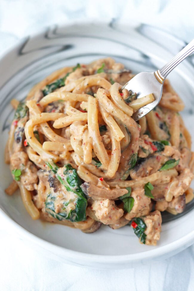 Fork in a plate with creamy mushroom udon noodles with ground chicken, mushrooms and blended silken tofu sauce.