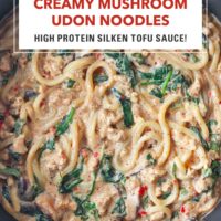 Top view of pan with creamy udon noodles with chicken, mushrooms and spinach. Text overlay "Creamy Mushroom Udon Noodles", "High Protein Silken Tofu Sauce!" and "That Spicy Chick".