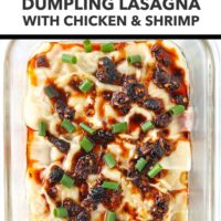 Steamed dumpling lasagna in a glass dish topped with chili crisp and green onions. Text overlay "Single Serve | High Protein" and "Viral Dumpling Lasagna with Chicken & Shrimp".