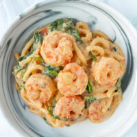 Plate with white bean sauce udon noodles with shrimp.