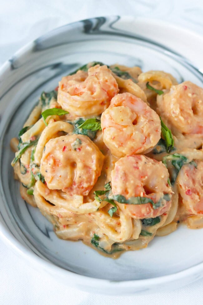 Front view of plate with white bean sauce udon noodles with shrimp.