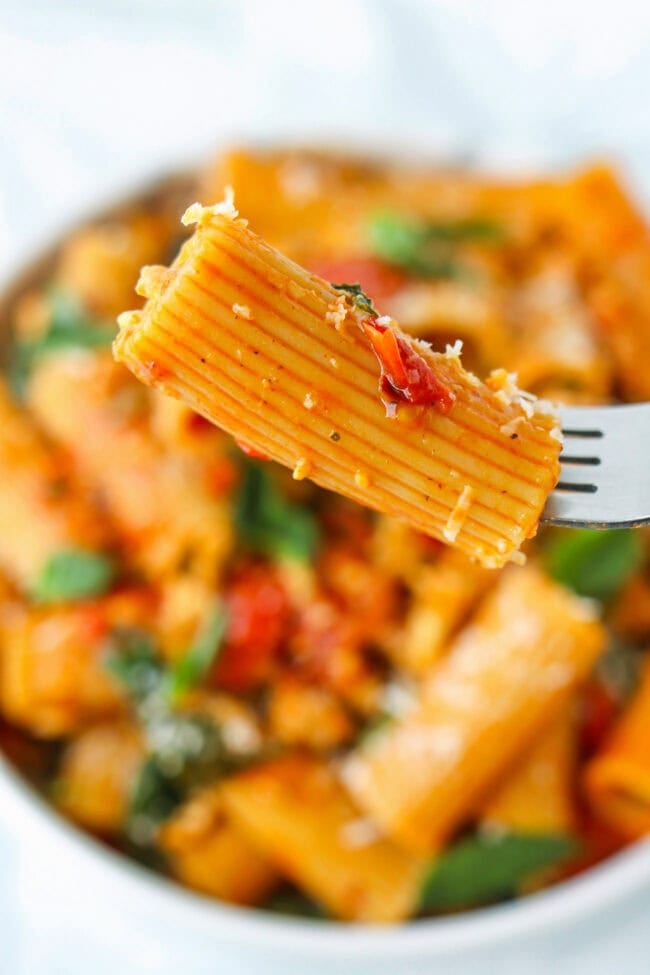 Fork holding up a piece of rigatoni pasta with harissa and cherry tomato sauce.