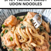 Fork pulling up a bite of creamy udon noodles from a plate. Text overlay "High Protein Dinner!" and "Spicy Tahini Peanut Udon Noodles".