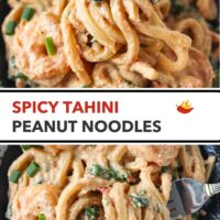 Fork pulling up a bite of creamy udon noodles from a plate and plate with creamy tahini udon with shrimp. Text overlay "Spicy Tahini Peanut Noodles".